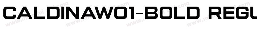 CaldinaW01-Bold Regu字体转换